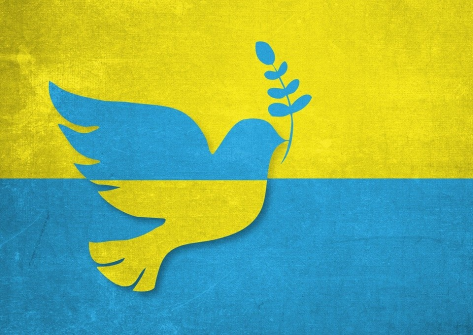 ukrainische Flagge mit Friedenstaube, die einen Zweig im Schnabel trägt